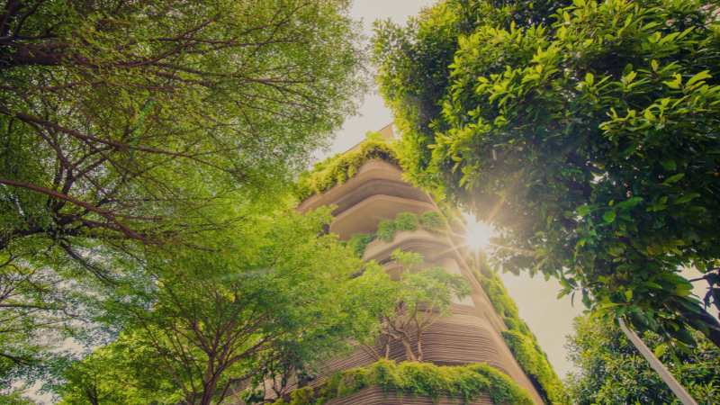 Sustainability